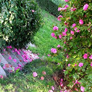 B&B Cascina Belsito